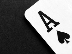 insights into casino operations