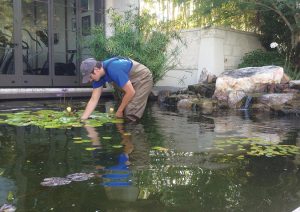 Pond Repair